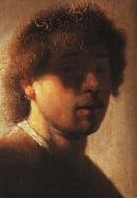 REMBRANDT Harmenszoon van Rijn A young Rembrandt oil painting